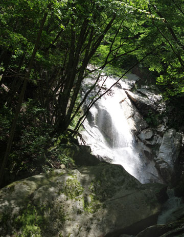 白石谷出合の布ヶ滝