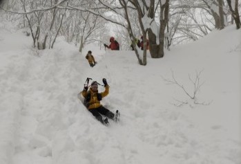 最近の例会記録へのリンク